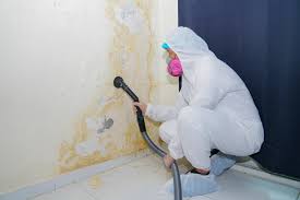 Best Real Estate Mold Inspection  in Stony Prairie, OH